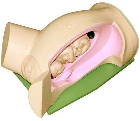 1448270330175413.png AKU[TL[W32RPC%%_}$Y0X8A.png