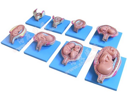 1449036897968847.png Z}RG8[Q33_1WR{M3HLRV_)T.png