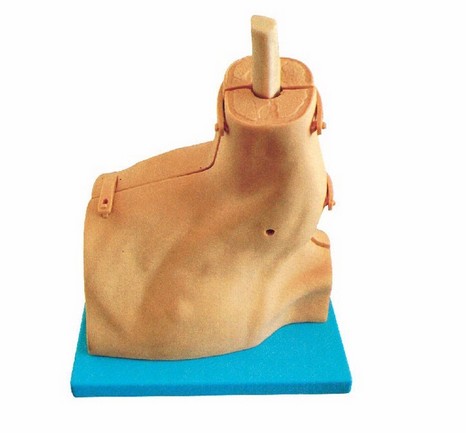 1456304291540321.png J36434~QE0@_V3{1W3KO`KA.png