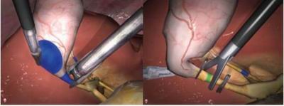 點(diǎn)擊瀏覽下一頁