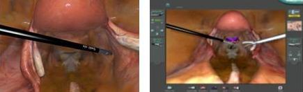 點(diǎn)擊瀏覽下一頁