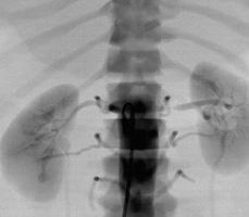 點擊瀏覽下一頁