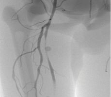 點擊瀏覽下一頁