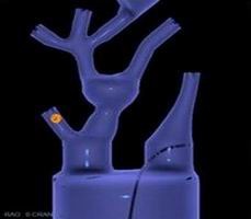 點擊瀏覽下一頁