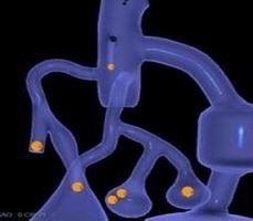 點擊瀏覽下一頁