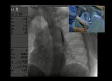 點擊瀏覽下一頁