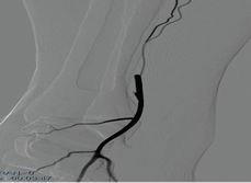 點擊瀏覽下一頁