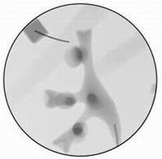 點擊瀏覽下一頁