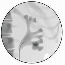 點擊瀏覽下一頁