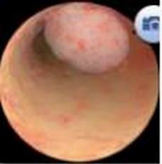 醫(yī)學(xué)教學(xué)模型 點(diǎn)擊瀏覽下一頁(yè)