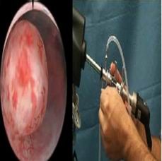 醫(yī)學(xué)教學(xué)模型 點(diǎn)擊瀏覽下一頁(yè)