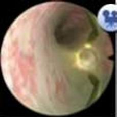 醫(yī)學(xué)教學(xué)模型 點(diǎn)擊瀏覽下一頁(yè)