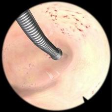 醫(yī)學(xué)教學(xué)模型 點(diǎn)擊瀏覽下一頁(yè)