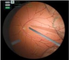 醫(yī)學(xué)教學(xué)模型 點(diǎn)擊瀏覽下一頁