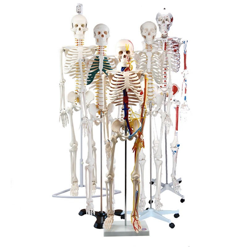 1527667252859487.jpg 未標(biāo)題1-1.jpg