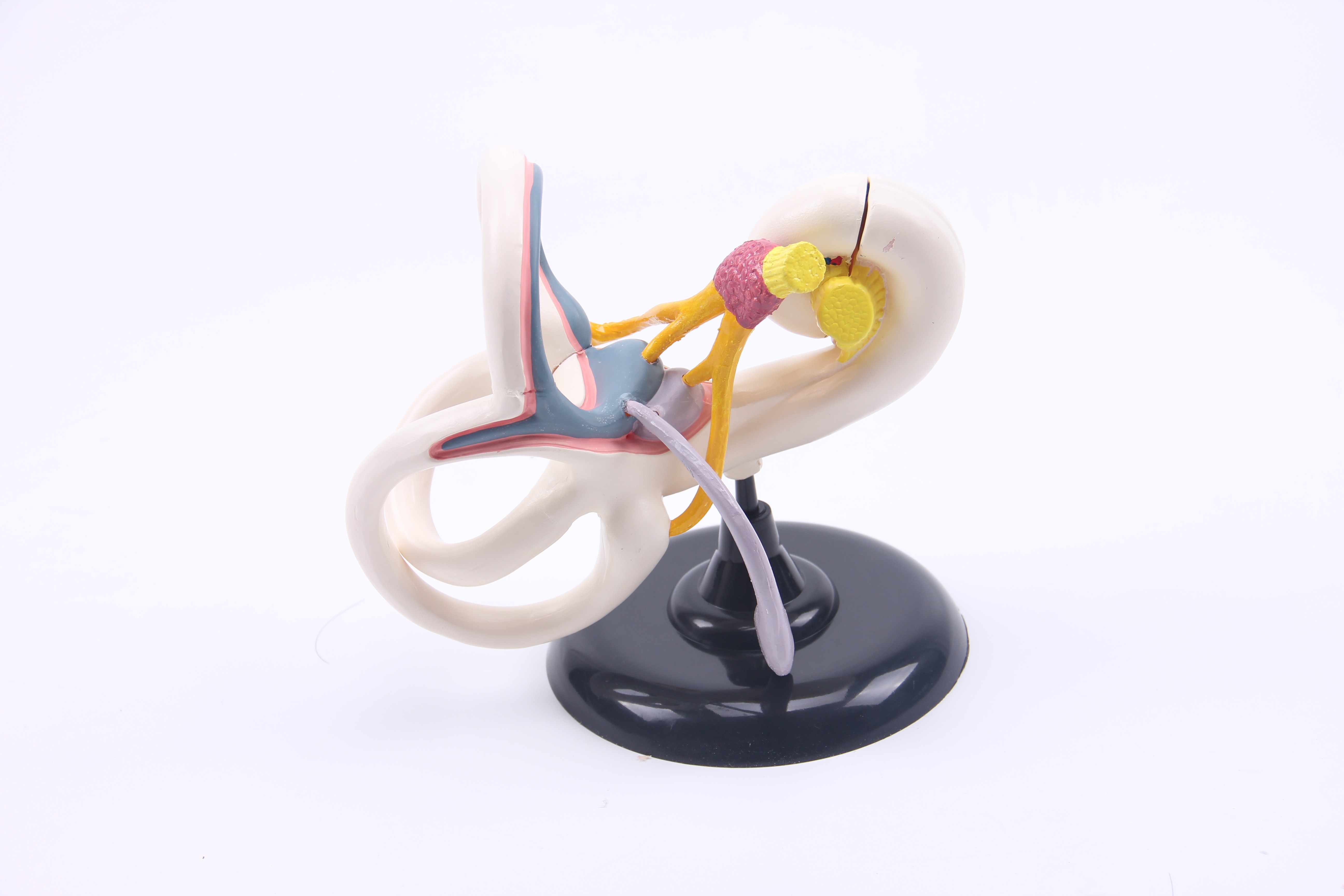 1535079219995582.jpg IMG_6698.JPG