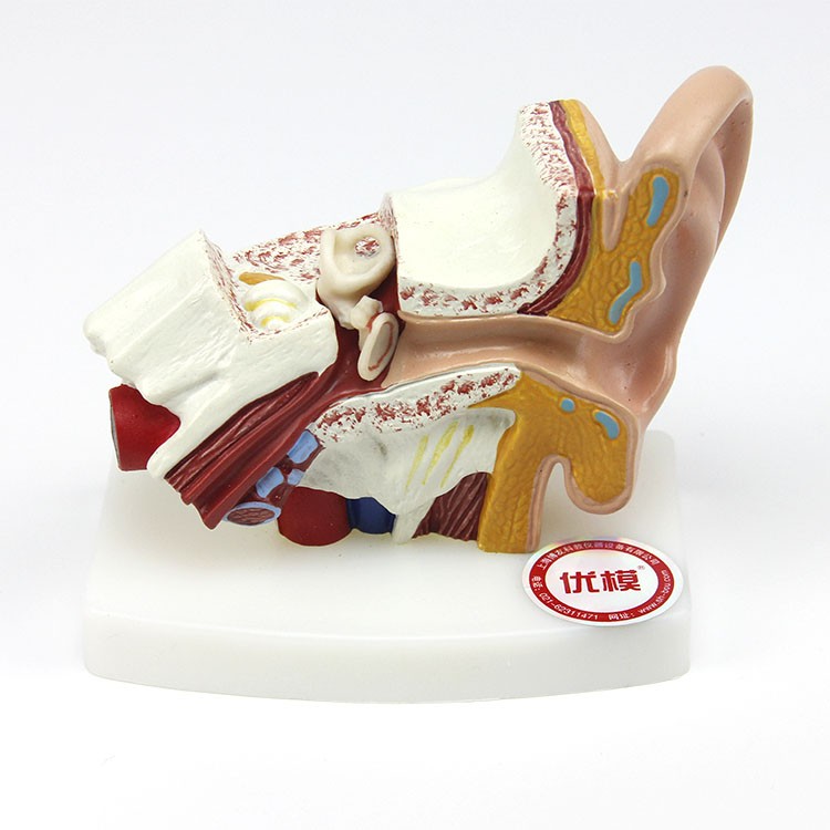 1535081267855398.jpg _MG_2303.JPG