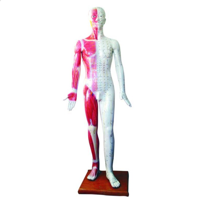 1740647960767018.png image.png