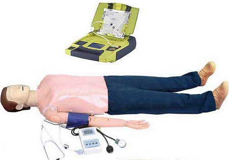 醫(yī)學(xué)教學(xué)模型 醫(yī)學(xué)教學(xué)模型