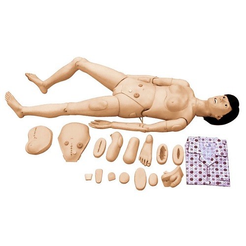 醫(yī)學教學模型