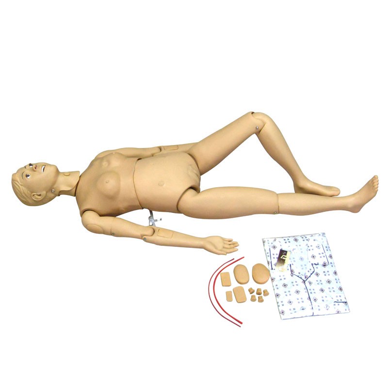 醫(yī)學教學模型