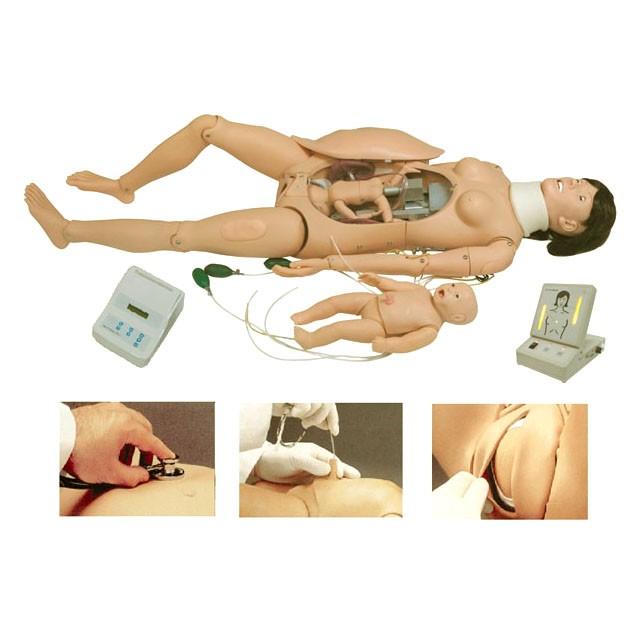 醫(yī)學(xué)教學(xué)模型 醫(yī)學(xué)教學(xué)模型