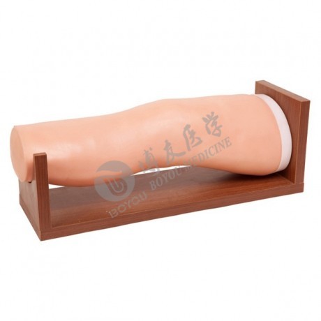 醫(yī)學(xué)教學(xué)模型 醫(yī)學(xué)教學(xué)模型