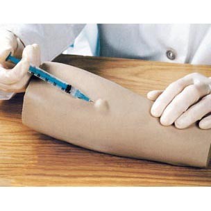 醫(yī)學教學模型 醫(yī)學教學模型