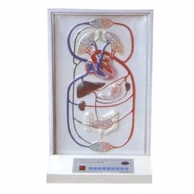 大小循環(huán)電動模型