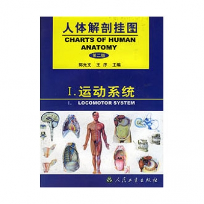 《人體解剖掛圖》-運動系統(tǒng)