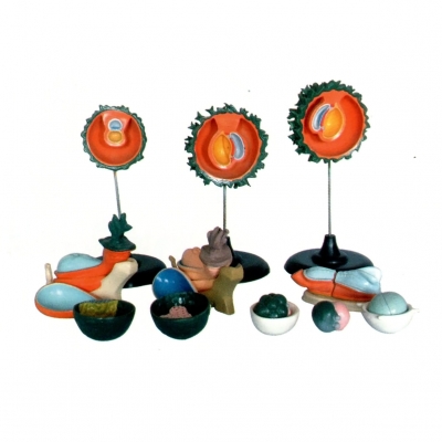 人胚受精、卵裂和胚泡形成過程模型