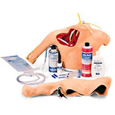 中心靜脈穿刺（動(dòng)靜脈伴行）模型