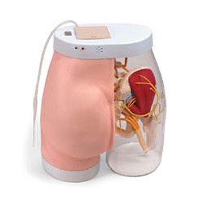 臀部肌肉注射訓(xùn)練以及對比模型-帶監(jiān)測警示系統(tǒng)