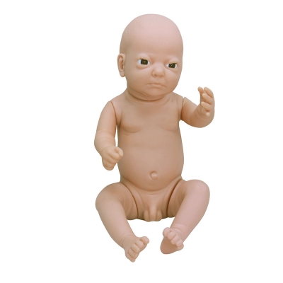 高級(jí)出生嬰兒模型(男嬰、女?huà)肴芜x)