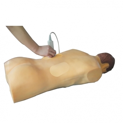 高仿真超聲、X線引導(dǎo)經(jīng)皮穿刺腎鏡技能訓(xùn)練人體模型