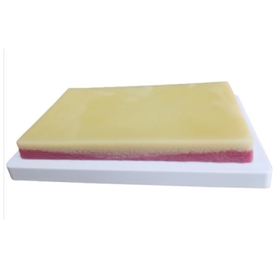 高級(jí)皮膚肌肉縫合練習(xí)模塊