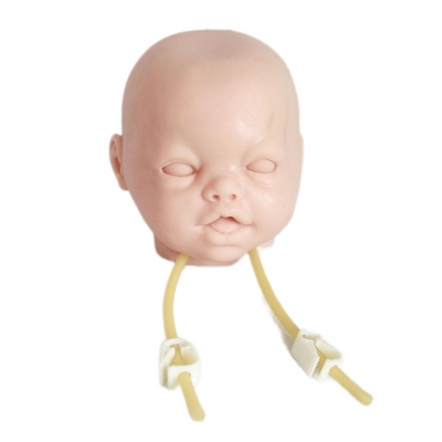 高級嬰兒頭部雙側(cè)靜脈注射穿刺訓(xùn)練模型