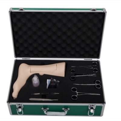 高級(jí)靜脈切開(kāi)模型