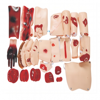 43部件創(chuàng)傷評(píng)估模塊