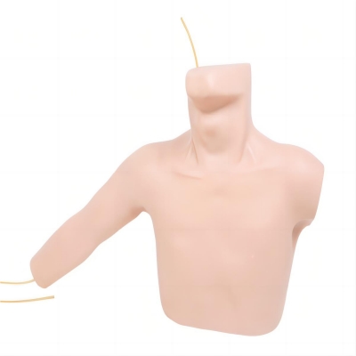 外周穿刺、中心靜脈穿剌插管模型