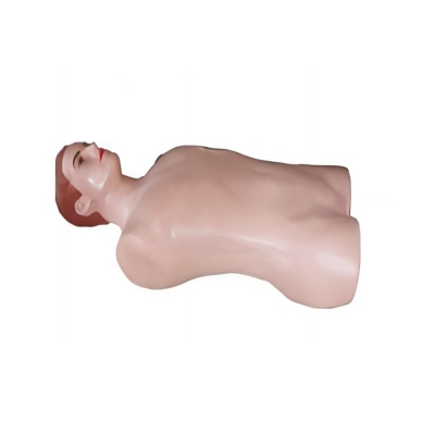 胸腹部切開(kāi)縫合訓(xùn)練模型