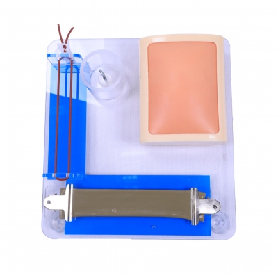 高級(jí)外科多技能訓(xùn)練模型