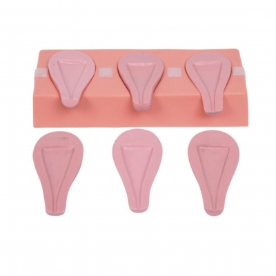 高級人工流產模擬子宮模型