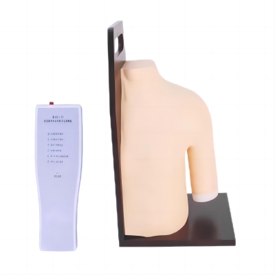 高級(jí)肩關(guān)節(jié)腔內(nèi)注射模型