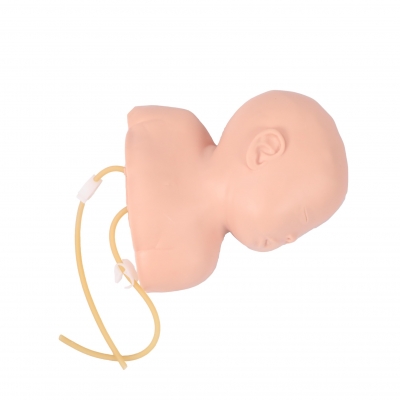 高級嬰兒頭部靜脈穿刺訓(xùn)練示教模型