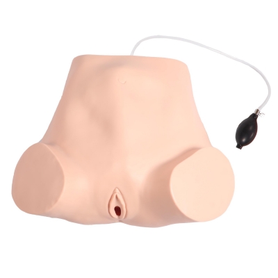 四步觸診、肛查、陰道檢查訓(xùn)練模型