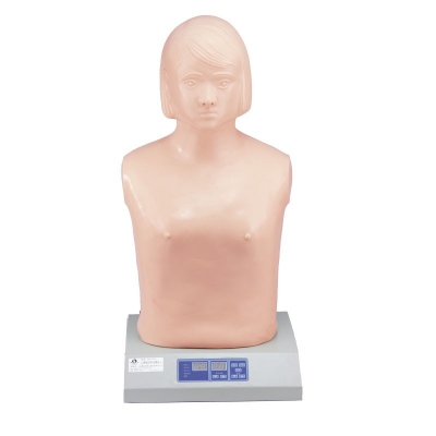 全自動心肺觸診聽診模擬人（單機版）