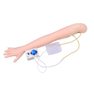 高級手臂靜脈穿刺及肌肉注射訓(xùn)練模型（帶循環(huán)裝置）