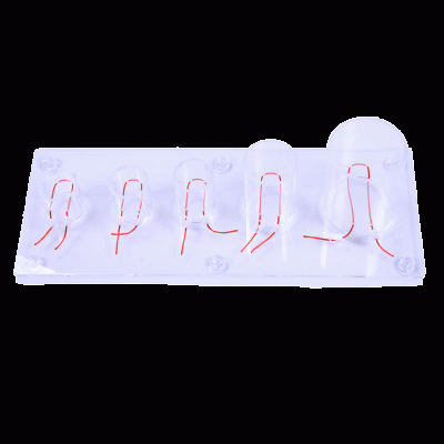 高級(jí)深部張力打結(jié)技能訓(xùn)練模型