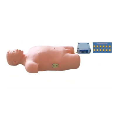 全自動心肺叩診電腦模擬人